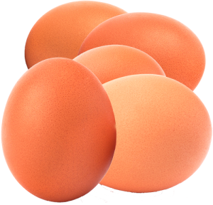 Protein based products