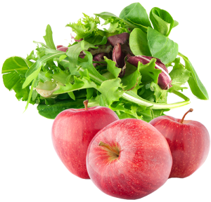 Salad and Fruit Products